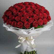 Букет 101 Красная роза Блэк Мэджик в Северном Новосибирской области