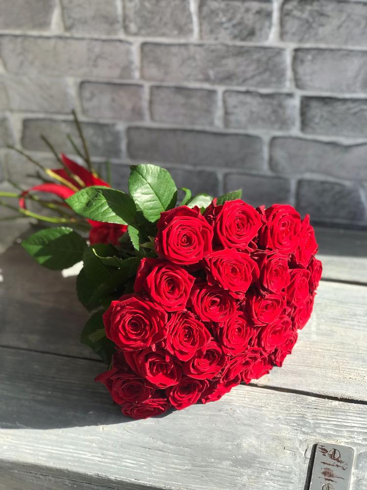 Букет Красные розы Фридом в Северном Новосибирской области