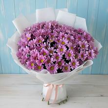 Букет цветов из:  Хризантемы в Северном Новосибирской области