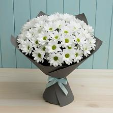 Букет цветов из:  Хризантемы в Северном Новосибирской области