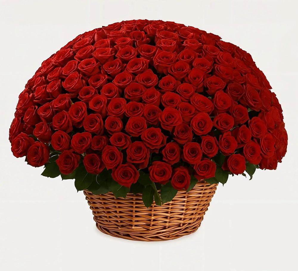 Премиум букет из: Розы в Северном Новосибирской области