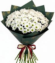 Букет цветов из:  Хризантемы #REPLACE_PRED# Северном Новосибирской области