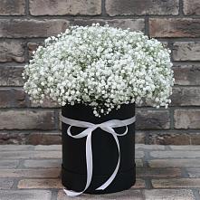 Цветочная композиция из Гипсофила в шляпной коробке в Северном Новосибирской области