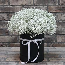 Цветочная композиция из Гипсофила в шляпной коробке в Северном Новосибирской области